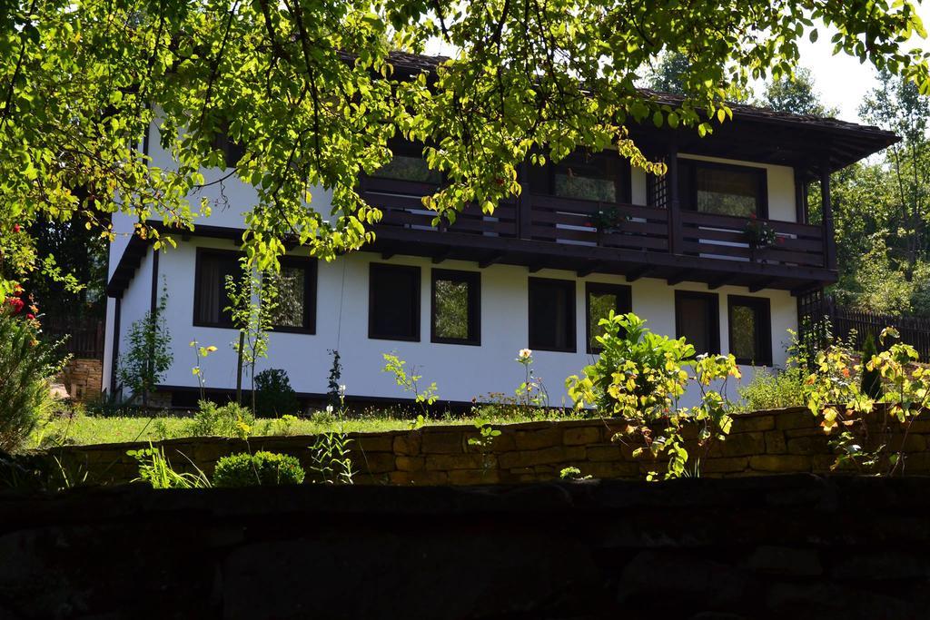 Strannopriemnitsa Guest House 波兹思 外观 照片