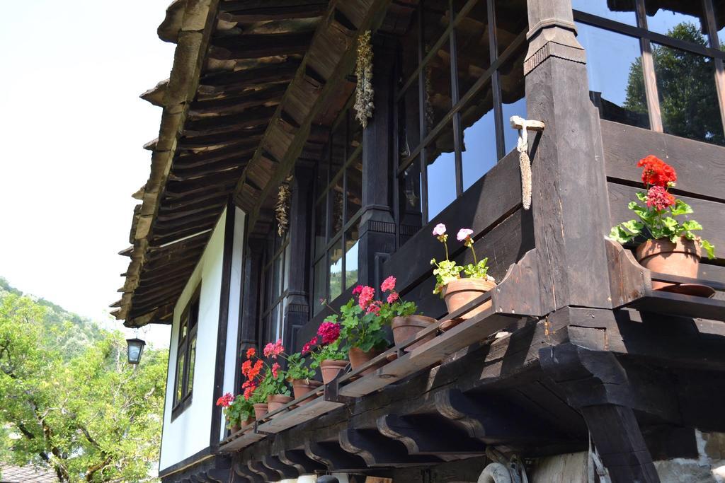 Strannopriemnitsa Guest House 波兹思 外观 照片