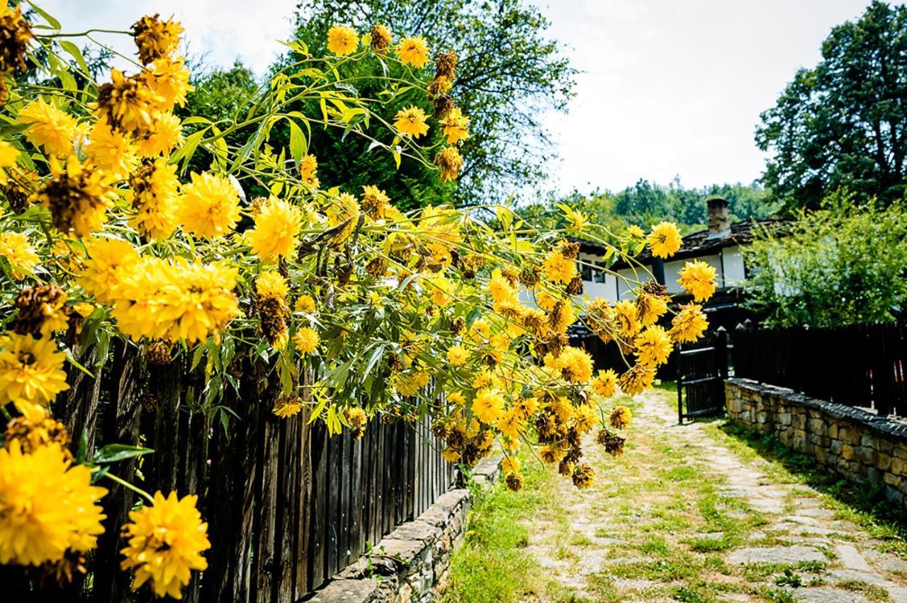 Strannopriemnitsa Guest House 波兹思 外观 照片