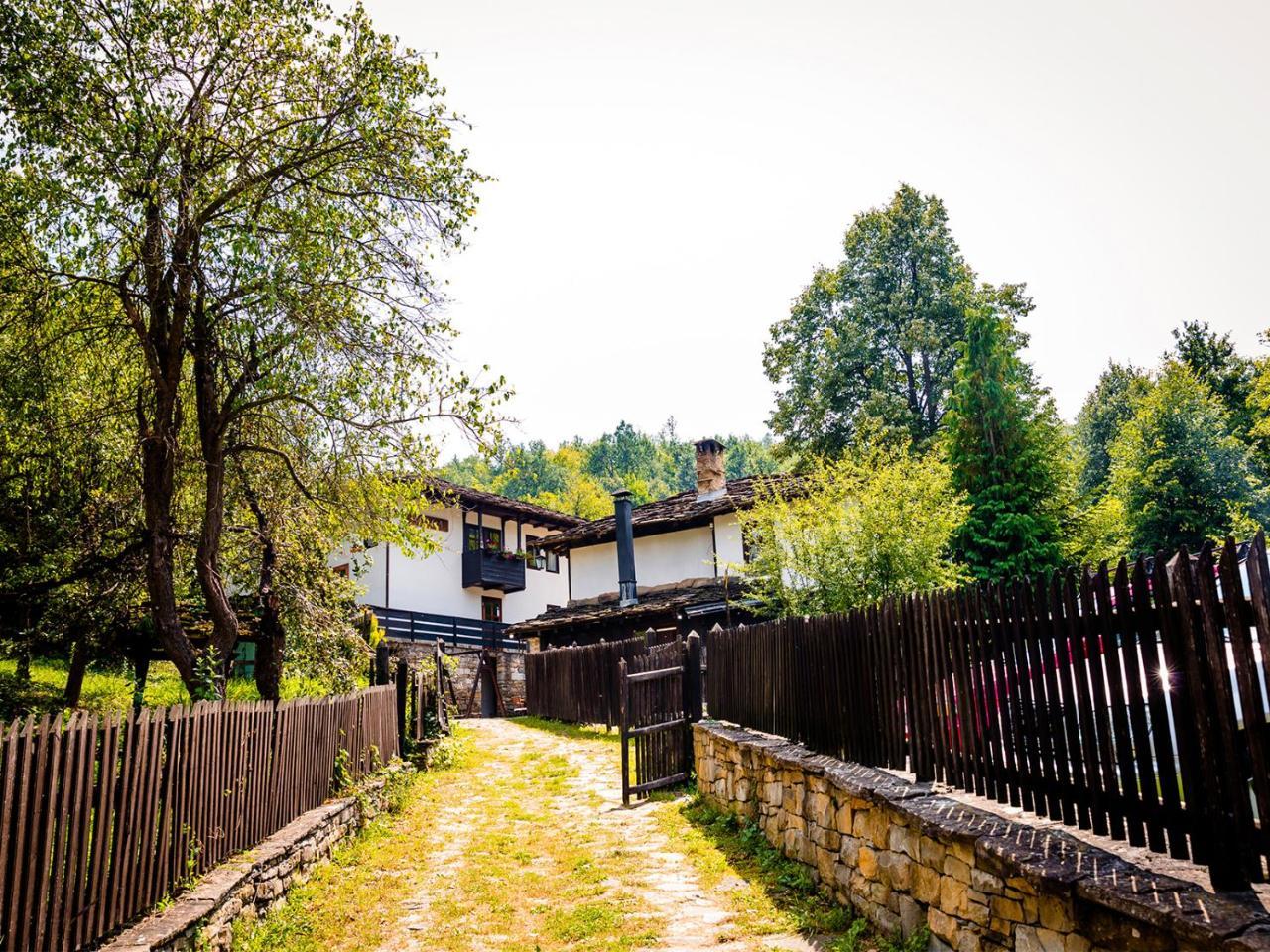 Strannopriemnitsa Guest House 波兹思 外观 照片